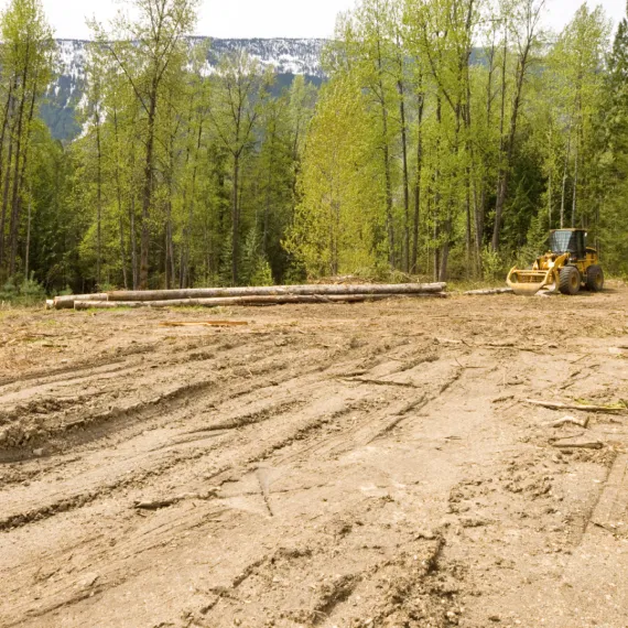 Home Land Clearing & Lot Clearing