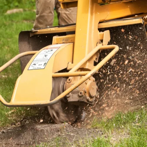 Home Stump Grinding & Stump Removal