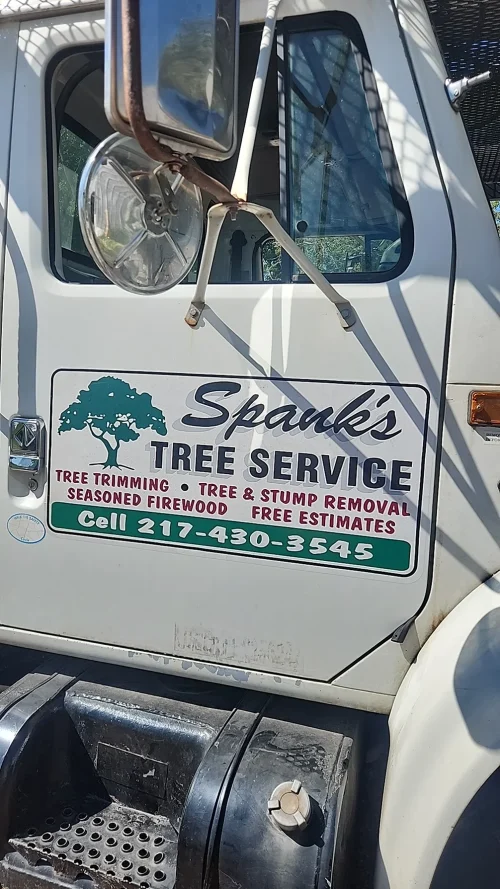 spanks tree service il 2026 01 14T21:49:12.823062Z 66888.74923978177